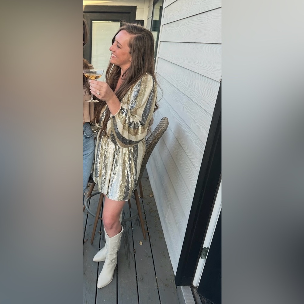 Show Me Your MuMu Gold and Silver Sequin Mini Dress